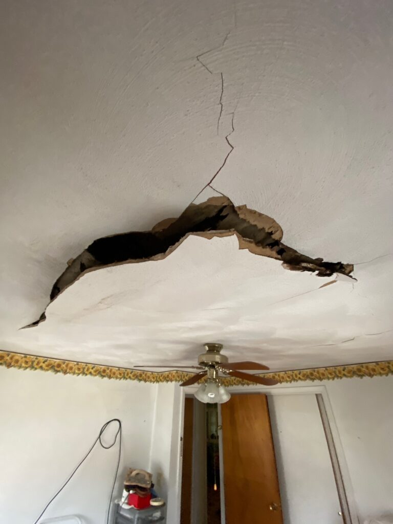 water damage services